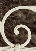 Wall_Art_Alphabet_Photography_Art_ 697